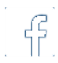 Facebook Icon