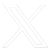 X Icon